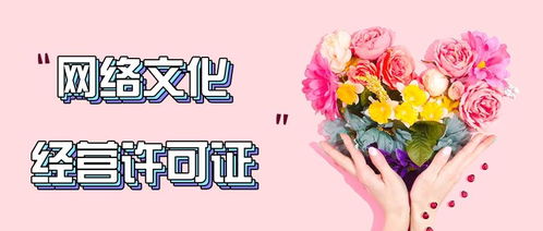 长沙网络文化经营许可证办理条件指南