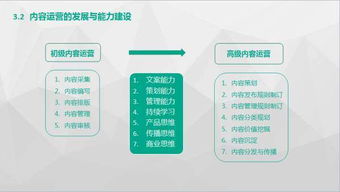 互联网公司产品、运营与技术三条业务线路的概览与文化特性